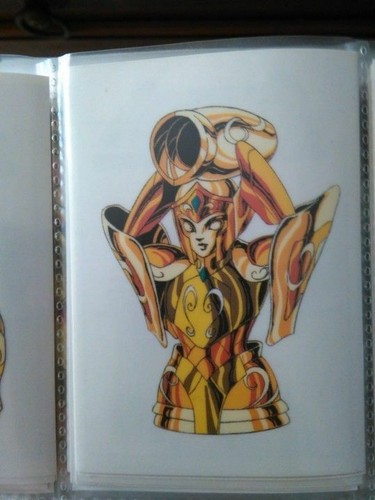 Saint seiya chevaliers - chevaliers, du