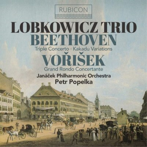 Ludwig van beethoven - van,