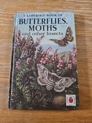 Butterflies moths and - moths,