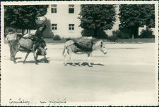 Yougoslavie, Cetinje. Circulation dans la rue principale (Monténégro), 1957  Vin