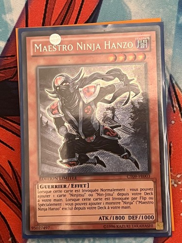 Maestro ninja hanzo - hanzo, ct09