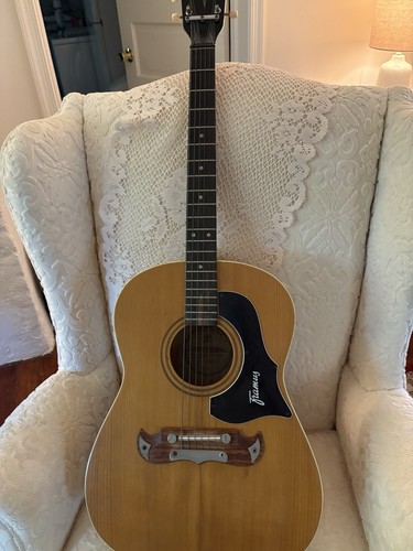 Vintage 1964 framus werke - vintage,