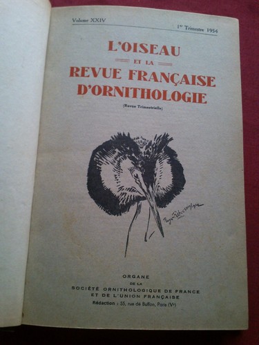 Oiseau la revue - l'oiseau,
