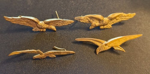 Insignes charognard épervier - insignes,