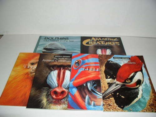 Animals lot hb pb - animals,, 6