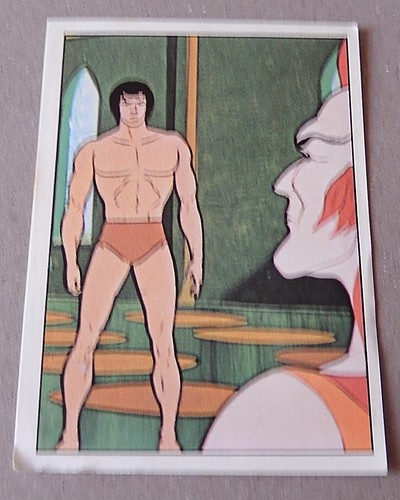 Figurine panini tarzan n - figurine,