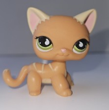✨️LPS LITTLEST PETSHOP 525
