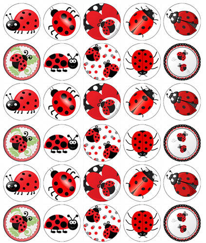 30x coccinelle insectes - coccinelle,