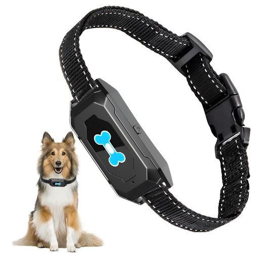 Collier anti aboiement - collier,