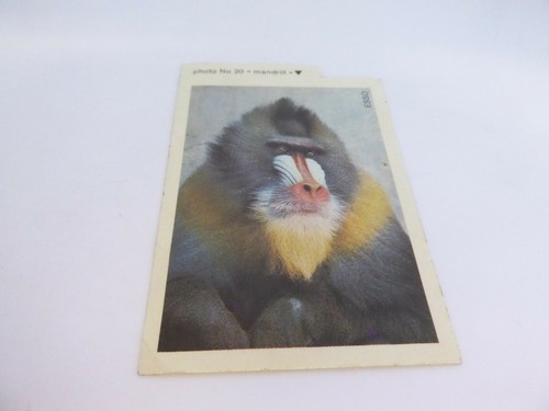 Autocollant sticker vintage - /,