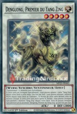 Yu-Gi-Oh! Denglong, Premier du Yang Zing : C MP25-FR445