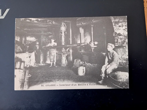 Reproduction cpa grasse - reproduction,