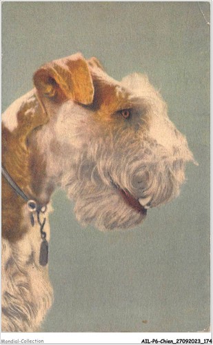 Ailp6 0598 chien - ailp6-0598,