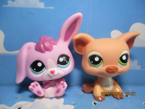 Petshop duo cochon n - petshop, :