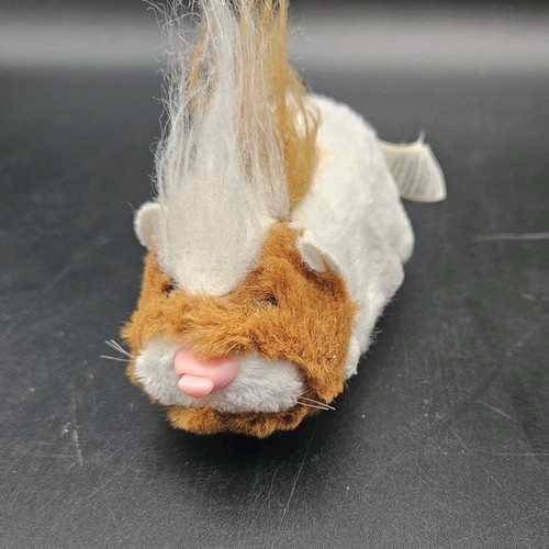 Zhu pets hamster pax - zhu,