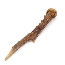 Bois de Cerf Longueur 18 CM