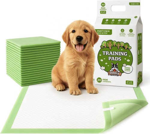 Tapis éducateurs chiens - tapis,