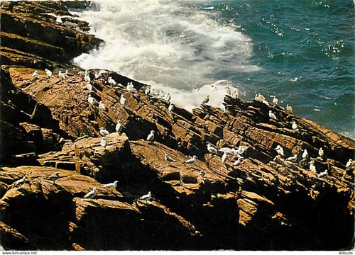 Carte postale le cap - -,