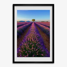 Photo Le salon 50x70cm Cadre