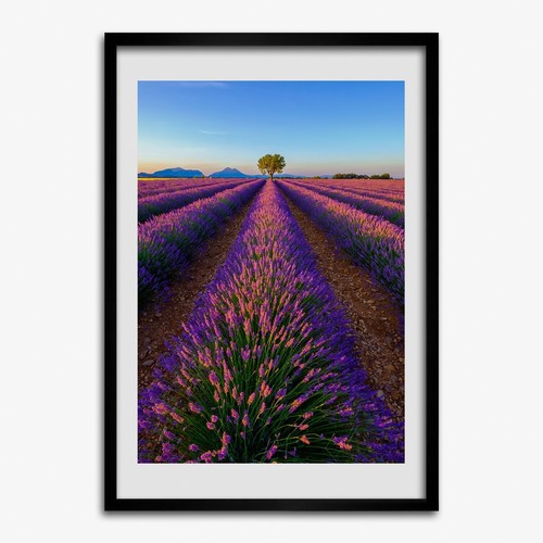 Photo salon 50x70cm cadre - le,