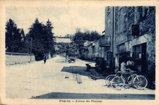 PONCIN - Avenue des Platanes