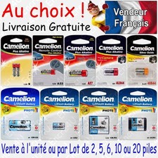 Piles collier chien &