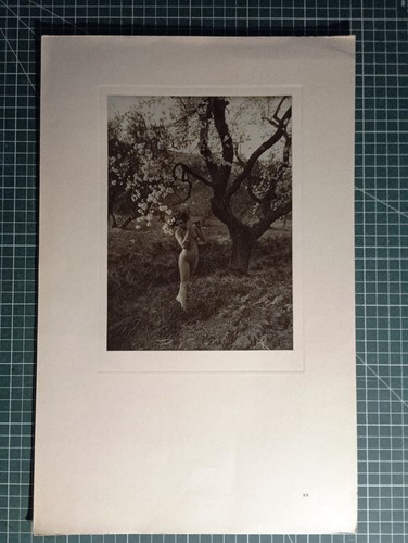 Bi16 photogravure petit - photogravure,