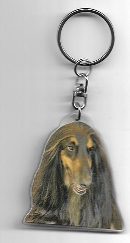 Levrier afghan chien porte - afghan,