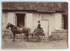 Femme cheval calèche chic