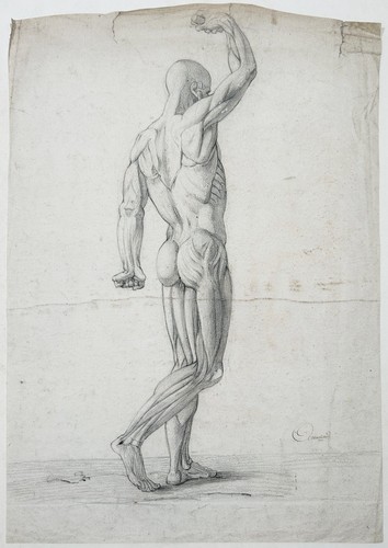 Armand 1790 dessin homme - dessin, d’homme