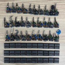 30 Nuit Gobelin Spearmen