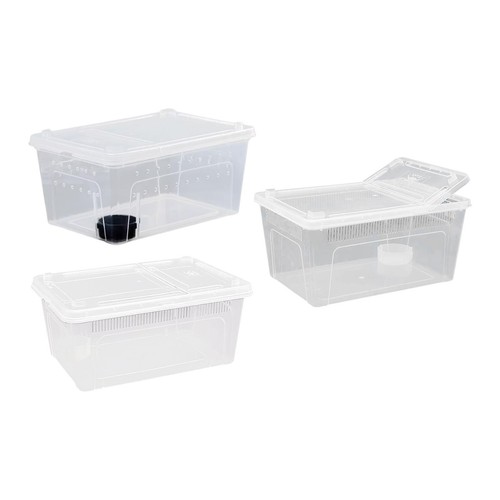 Boîte élevage transparente - boîte,