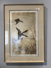 Gravure Canards Léon Danchin 