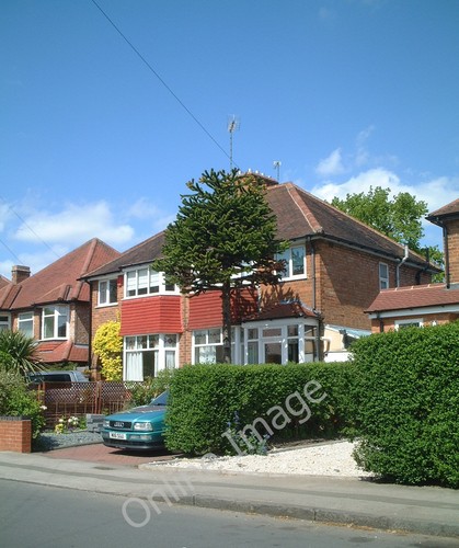 Photo 6x4 hurdis road - 6x4,