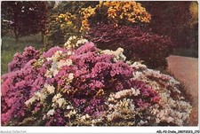 AELP2-ITALIE-0176 - STRELA  -