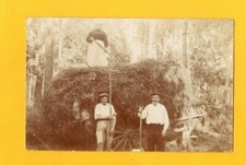 CHEMIRE-LE-GAUDIN (72)