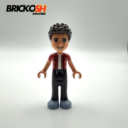 Lego friends minifigure - friends,