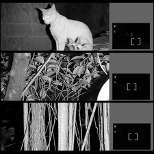 Jumelles 4K Exploration Nuit