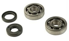 Kit roulements 6303 joints spy