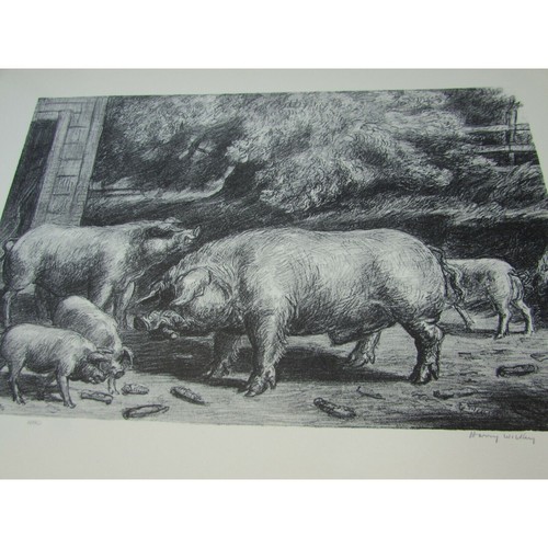 Hogs near corncrib harry - a,