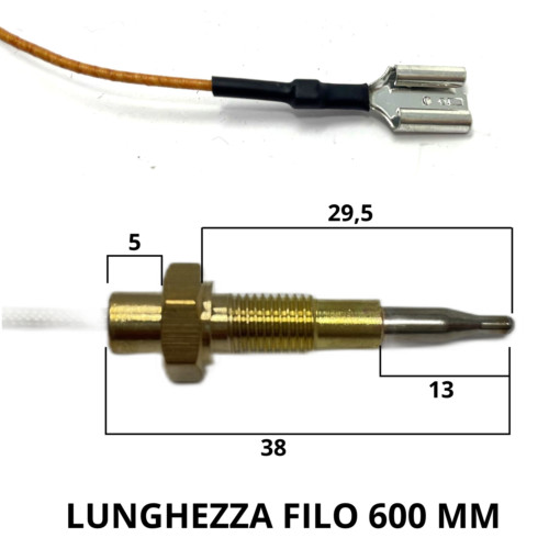 Thermocouple plaque cuisson - de,