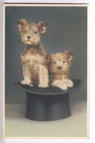 Cpa animal fantaisie chien - animal,