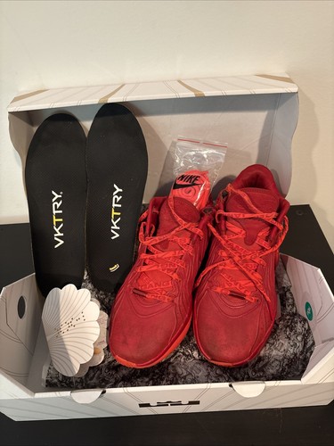 Lebron xxi crimson red - xxi,