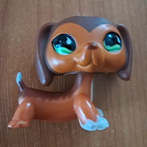 Littlest pet shop - shop, chien
