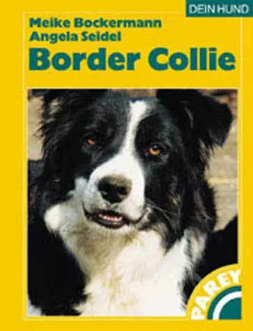 Der border collie meike - collie,,