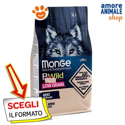 Monge dog bwild low - dog, grain