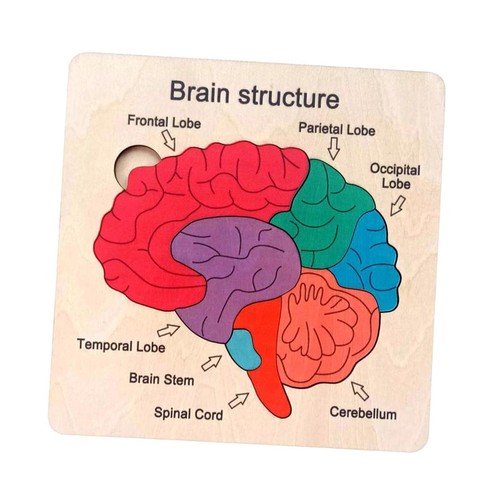 Puzzle bois pour cerveau - pour, le