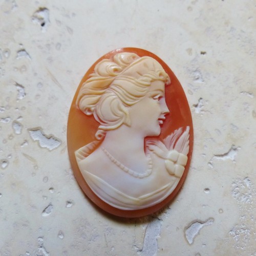Camee coquillage ancien début - camee,