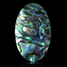 ★☆ ABALONE 33,60 CT de l'Océan Indien - 33,7 mm - GEM-A11-32 ☆★