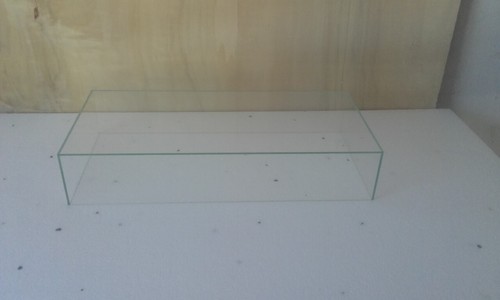 Vitrine cloche protection - vitrine,